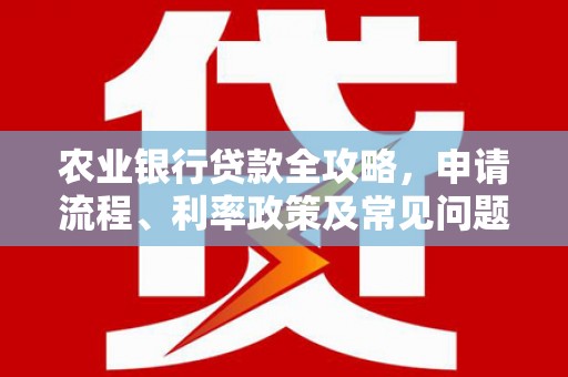 孙吴农业银行贷款全攻略，申请流程、利率政策及常见问题解析