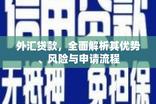 孙吴外汇贷款，全面解析其优势、风险与申请流程