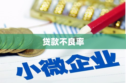 孙吴贷款不良率