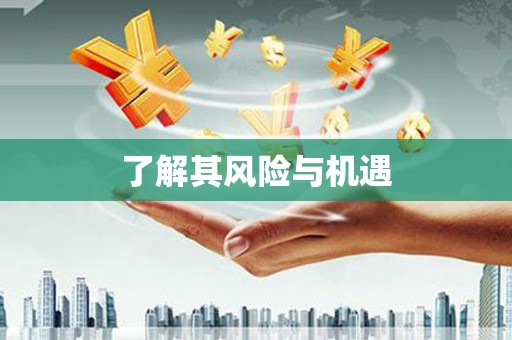 孙吴了解其风险与机遇