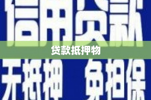 孙吴贷款抵押物