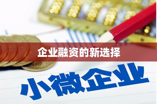 孙吴企业融资的新选择