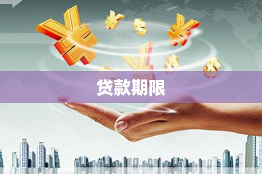 孙吴贷款期限