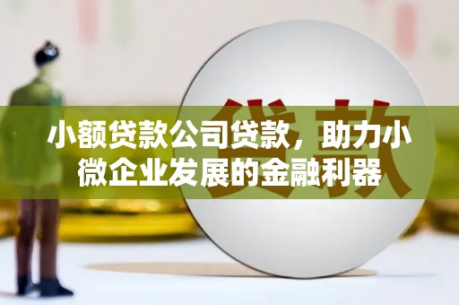孙吴小额贷款公司贷款，助力小微企业发展的金融利器
