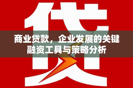 孙吴商业贷款，企业发展的关键融资工具与策略分析
