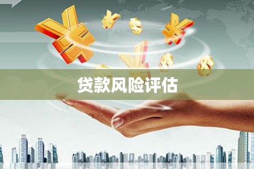 孙吴贷款风险评估