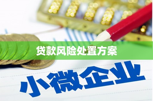 孙吴贷款风险处置方案