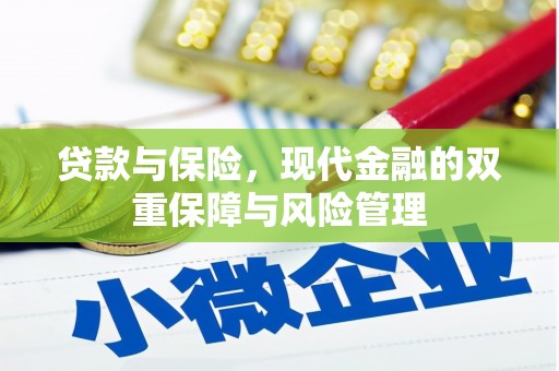 孙吴贷款与保险，现代金融的双重保障与风险管理