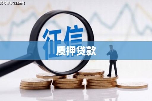 孙吴质押贷款