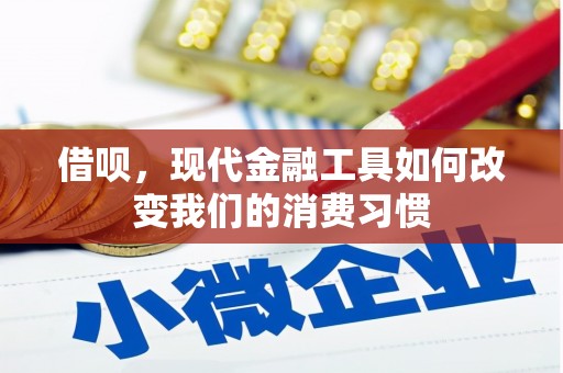 孙吴借呗，现代金融工具如何改变我们的消费习惯