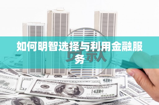 孙吴如何明智选择与利用金融服务