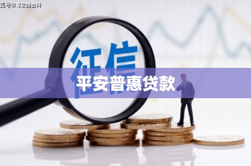 孙吴平安普惠贷款