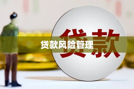 孙吴贷款风险管理