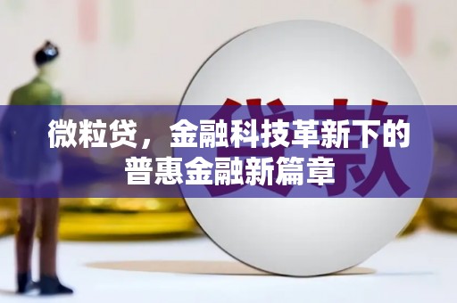 孙吴微粒贷，金融科技革新下的普惠金融新篇章