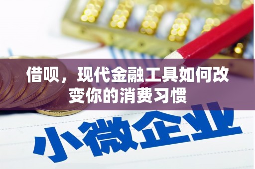 孙吴借呗，现代金融工具如何改变你的消费习惯