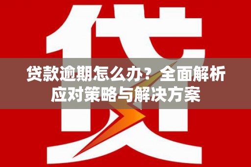孙吴贷款逾期怎么办？全面解析应对策略与解决方案