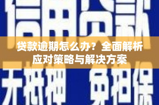 孙吴贷款逾期怎么办？全面解析应对策略与解决方案