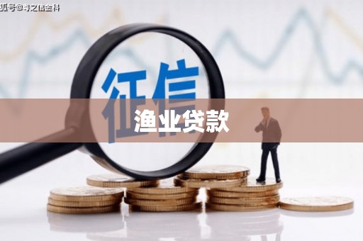 孙吴渔业贷款