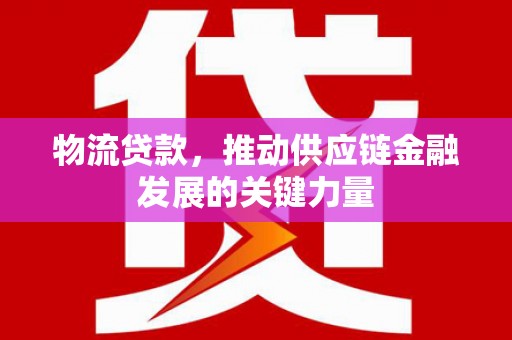 孙吴物流贷款，推动供应链金融发展的关键力量