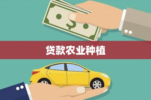孙吴贷款农业种植