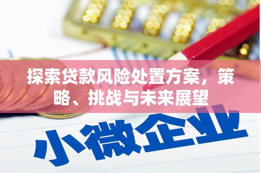 孙吴探索贷款风险处置方案，策略、挑战与未来展望