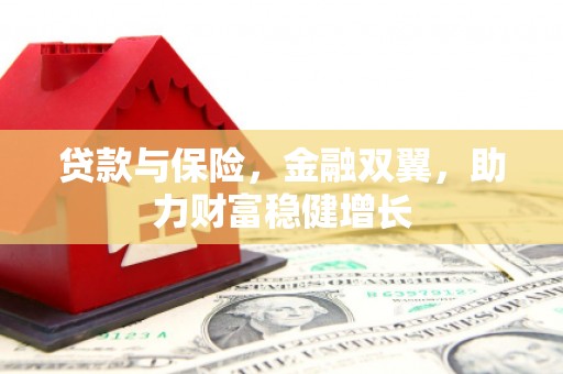 孙吴贷款与保险，金融双翼，助力财富稳健增长