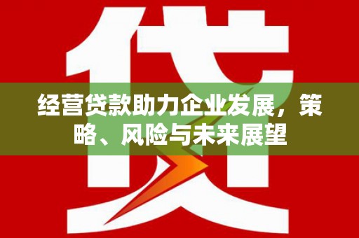 孙吴经营贷款助力企业发展，策略、风险与未来展望