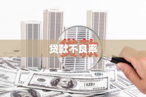 孙吴贷款不良率
