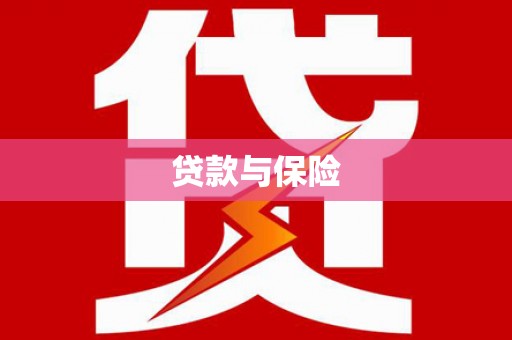 孙吴贷款与保险