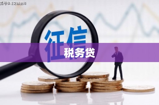 孙吴税务贷
