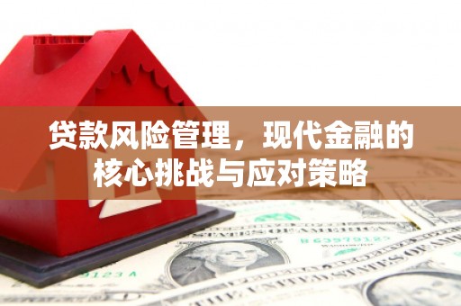 孙吴贷款风险管理，现代金融的核心挑战与应对策略