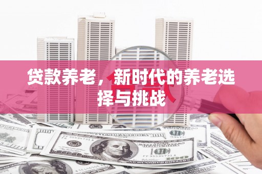 孙吴贷款养老，新时代的养老选择与挑战