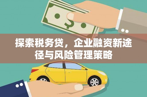 孙吴探索税务贷，企业融资新途径与风险管理策略