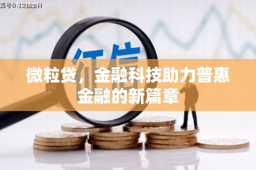 孙吴微粒贷，金融科技助力普惠金融的新篇章