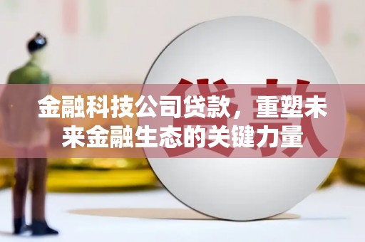 孙吴金融科技公司贷款，重塑未来金融生态的关键力量