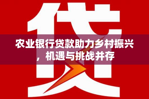 孙吴农业银行贷款助力乡村振兴，机遇与挑战并存