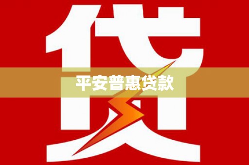 孙吴平安普惠贷款