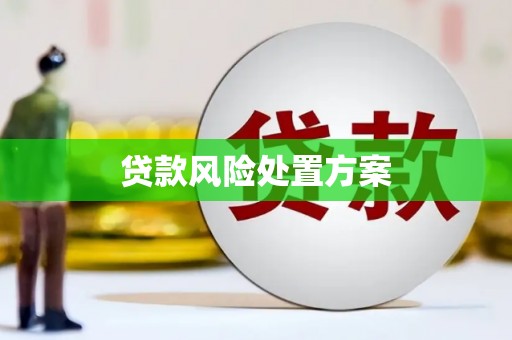 孙吴贷款风险处置方案