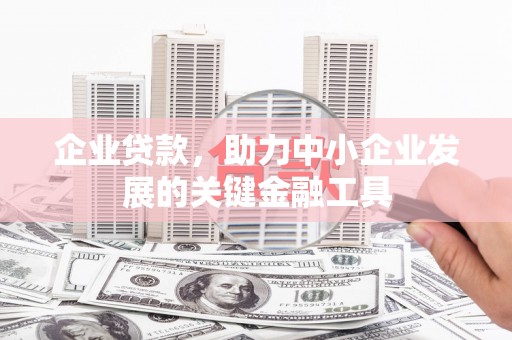孙吴企业贷款，助力中小企业发展的关键金融工具