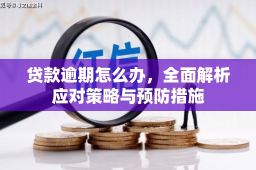 孙吴贷款逾期怎么办，全面解析应对策略与预防措施