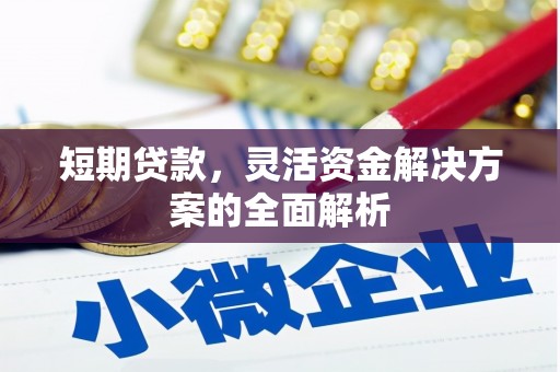 孙吴短期贷款，灵活资金解决方案的全面解析