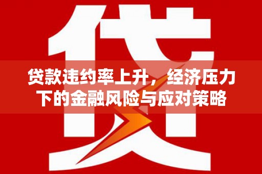 孙吴贷款违约率上升，经济压力下的金融风险与应对策略