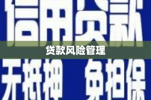 孙吴贷款风险管理