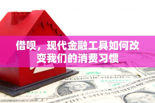 孙吴借呗，现代金融工具如何改变我们的消费习惯