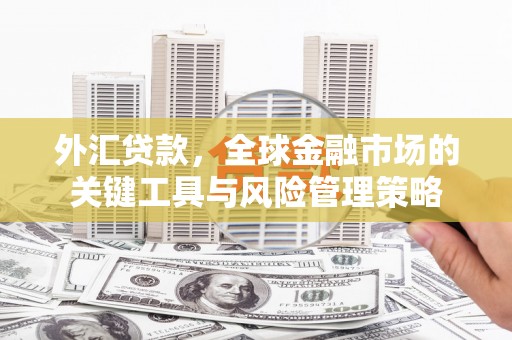 孙吴外汇贷款，全球金融市场的关键工具与风险管理策略