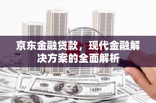 孙吴京东金融贷款，现代金融解决方案的全面解析
