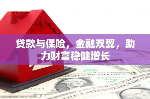 孙吴贷款与保险，金融双翼，助力财富稳健增长