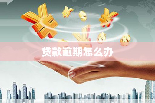 孙吴贷款逾期怎么办