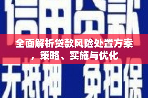 孙吴全面解析贷款风险处置方案，策略、实施与优化