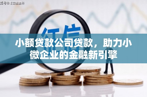 孙吴小额贷款公司贷款，助力小微企业的金融新引擎